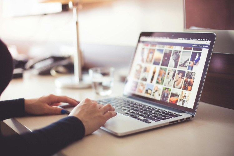 guide for creating websites