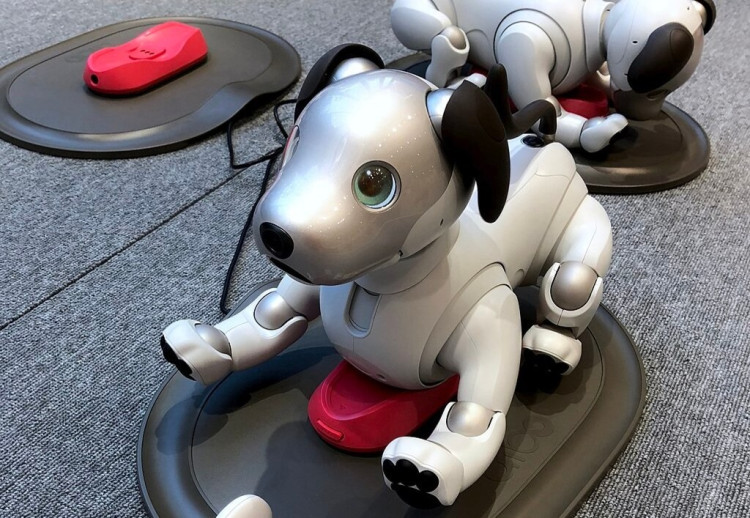 home robots
