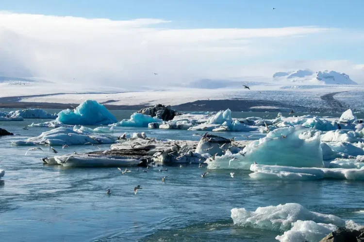 AI in Climate Change