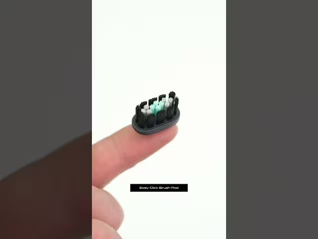 Sonic Toothbrush