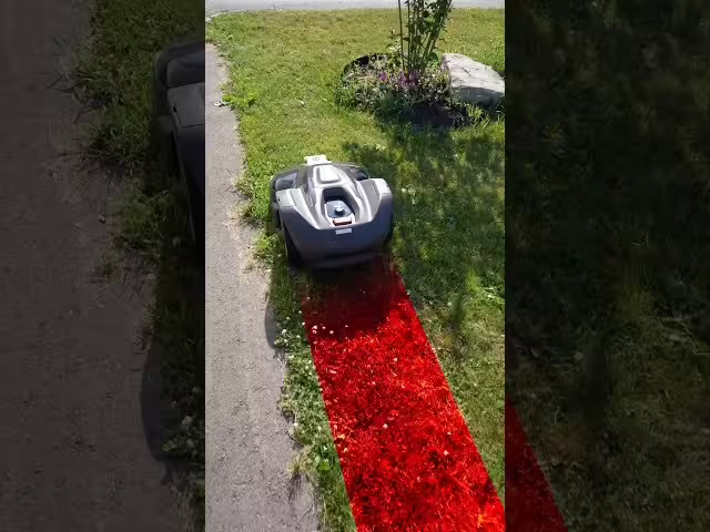 Lawn Care