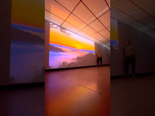 VisionMaster Max